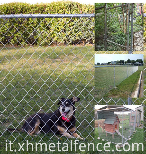 Chain Link Fence